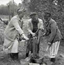 Tre kvinnor vid kokkrl under en kurs i vxtfrgning i Kvistbro socken - klicka fr att frstora