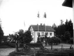 Handl. E. A. Wikstr�m, huset med brudgranar - klicka f�r att f�rstora