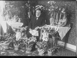 E. G. Gullberg - klicka f�r att f�rstora