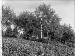 August Larsson vyer - klicka f�r att f�rstora
