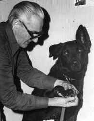 Olle Nyströmer med sin hund - klicka för att förstora