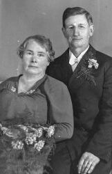 Werner Olsson - klicka f�r att f�rstora