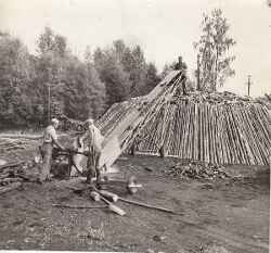 Tre m�n kapar och staplar ved f�r att g�ra kolmila. - klicka f�r att f�rstora