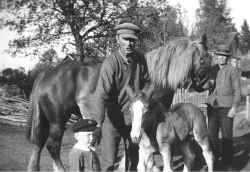 Tre generationer i Kl�vlandet 1937. N�rmast i bild syns Stig Eriksson f�dd 1934, i mitten hans far Olov Eriksson f�dd 1902 och l�ngst till h�ger i bild st�r farfar Erik-Johan Larsson f�dd 1858. - klicka f�r att f�rstora