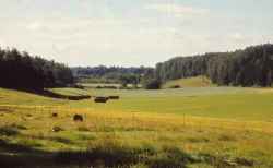 Vy från Klövlandet mot söder i början av 1960-talet. Mitt i bilden syns slagghögarna vid Sannagruvan. - klicka för att förstora