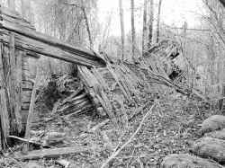 Resterna av ett gammalt soldattorp vid Hässelby i Kvistbro socken. - klicka för att förstora