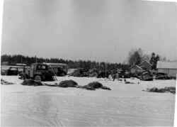 Fribergs skrot i Kvistbro. Angiven som Ekströms sädeskylar i februari 1955? - klicka för att förstora
