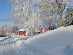 Vintermotiv från Högan en kall januaridag 2016 - klicka för att förstora