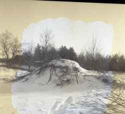 Nya bäverhyddan vid Svartån vintertid - klicka för att förstora