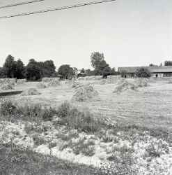 Bild från skörd med Fräntorps gård i bakgrunden - klicka för att förstora