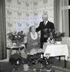 Helmfrid Larsson i Vekhyttan med hustru under hans 70-årsdag - klicka för att förstora