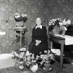 Fr�ken Hilma Larsson i Sl�storp fyller 80 �r - klicka f�r att f�rstora