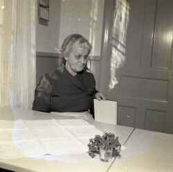 En kvinna i samband med Hans Erik och Inger Rickardsson i Fjugestas barns dop - klicka för att förstora