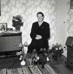 Fru Karin Davidsson i Fjugesta fyller 50 år - klicka för att förstora