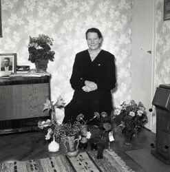 Fru Karin Davidsson i Fjugesta fyller 50 �r - klicka f�r att f�rstora