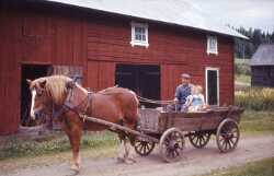 Olov Eriksson i Kl�vlandet med barnbarnen H�kan och Margareta i augusti 1964. De har varit vid Brotorp med stoet Bl�sa f�r att h�mta mj�lkflaskan. - klicka f�r att f�rstora