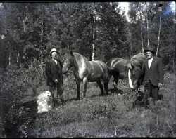 Två män med två hästar och en hund i skogen - klicka för att förstora
