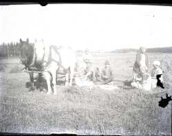 Fyra kvinnor, två män och två hästar framför en slåttermaskin - klicka för att förstora