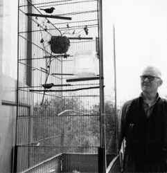 John Sjökvist med sin hobby - tropiska fåglar i bur - klicka för att förstora