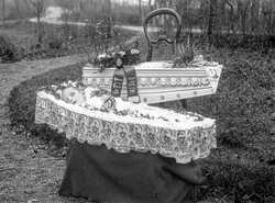 J.A Fahlin kista - klicka f�r att f�rstora