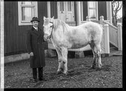 Arthur Wir�n - klicka f�r att f�rstora